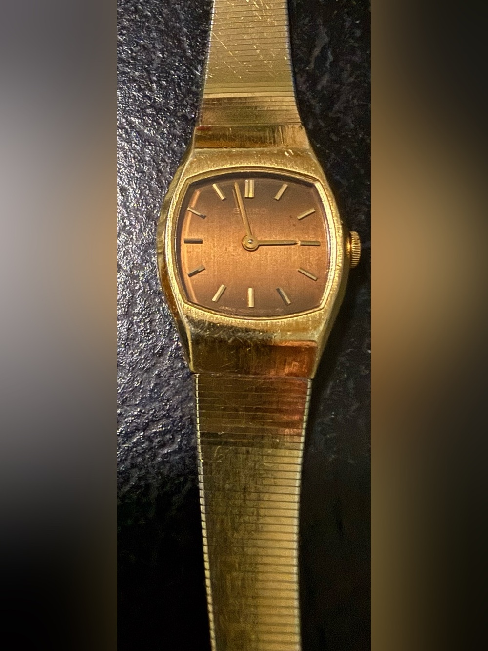 Seiko Gold Tone Brown Dial Womens Watch 1400-6019 *New Battery